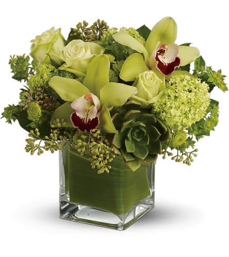 Teleflora's Rainforest Bouquet - Deluxe - The green abundance of the rainforest is captured in this lovely bouquet brimming with exotic green cymbidium orchids, roses and colorful succulents. Artfully arranged in a glass cube vase, it's a gift that's as right as rain.  A refreshing mix of flowers including green cymbidium orchids, echeveria succulents, roses and chrysanthemums accented with viburnum, bupleurum and eucalyptus. Delivered in a clear glass, leaf-lined cube vase.  Bouquet is approximately 12" W x 11" H  Orientation: All-Around      As Shown : TFWEB578DX 