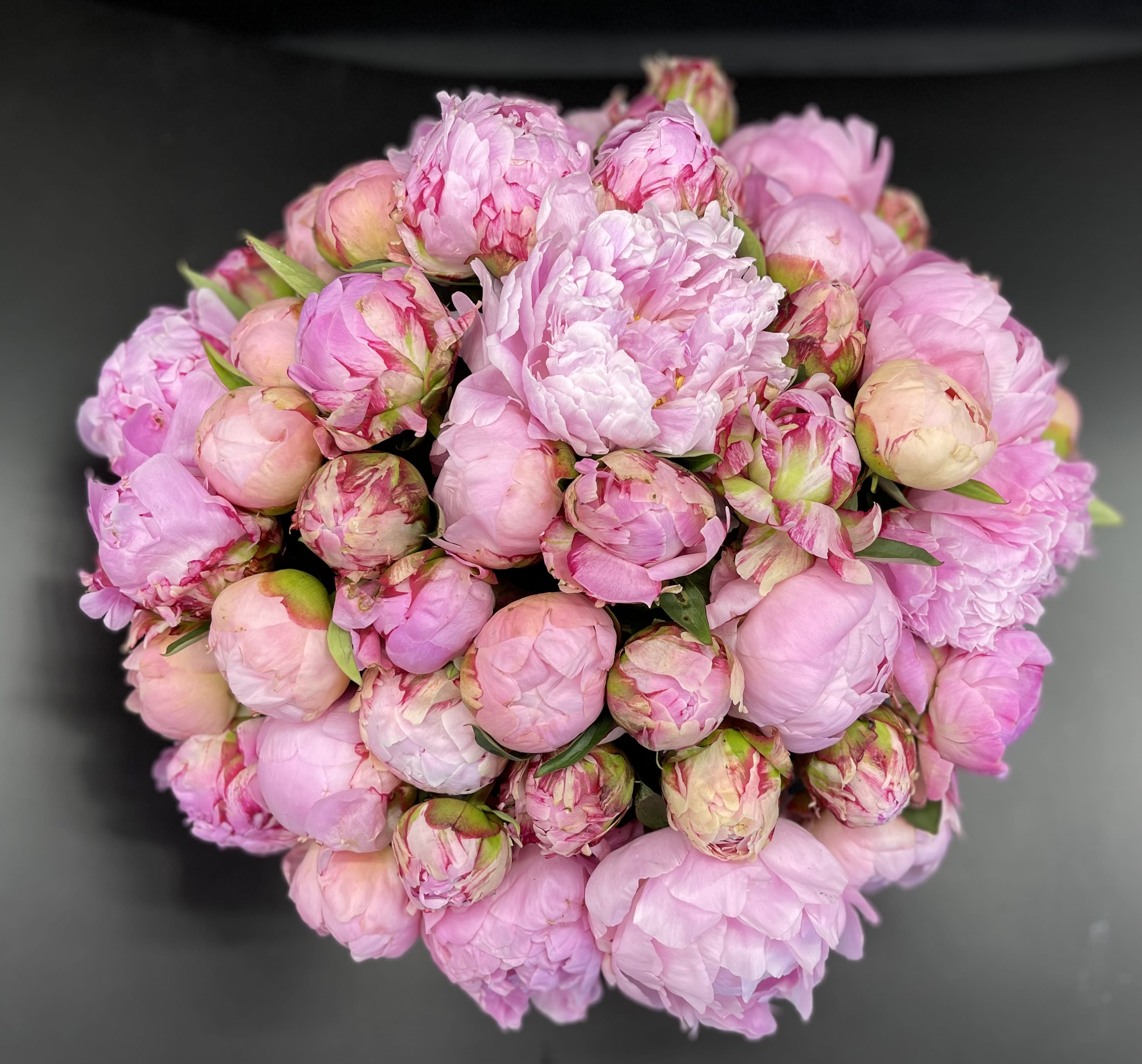 Bouquet of pink peonies with tightly closed buds