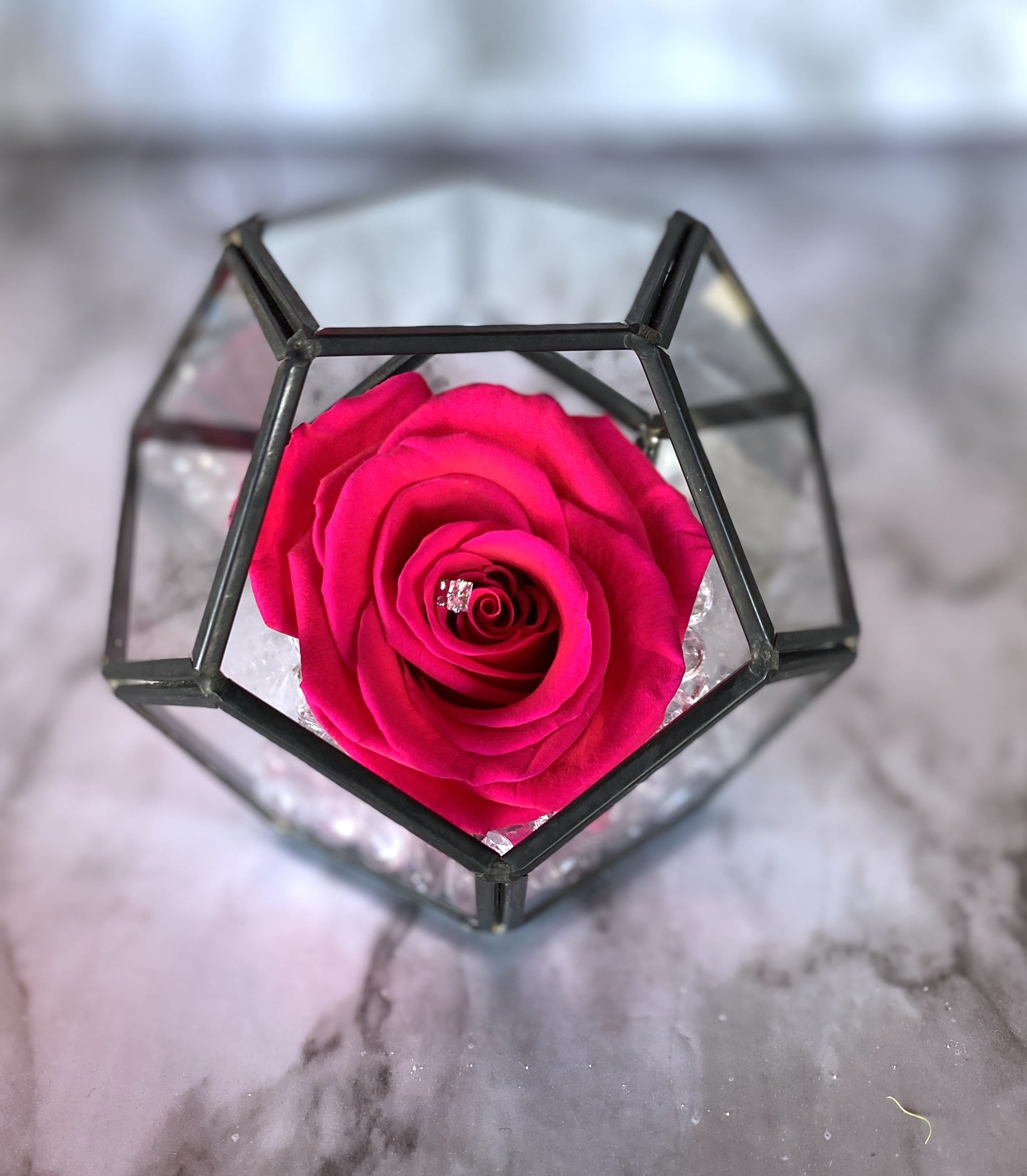 Everlasting Mini ! (Single One Year Rose In Octagon Case) - Hot Pink - Meet our Everlasting Roses - Mini Edition! This is a REAL rose that can last for up to a year! Hot Pink, as seen in the photo, unless another color is requested in the comments section *subject to availability.   About: Our one year roses are imported directly from Ecuador where they are treated with a proprietary solution and color pigmentation process that transforms them into long-lasting roses that maintain their freshness and biological structure. The roses are treated using a non-toxic and non-allergenic wax formula that is similar to silica. The outcome is that our roses continue to look and feel like real roses - because they are real - with the difference being that they will maintain their integrity and color for up to a year.  Maintenance: The only maintenance they require is a light dusting from time to time. Do NOT water the roses. Do NOT remove the roses from their container. Do NOT place anything onto the roses as they can crush and damage them. Avoid direct exposure to sunlight. Keep the arrangement in a room temperature environment.  Note: We have both GOLD and BLACK Octagon containers. We will use what is available unless specified in the comments. You can swipe through photos to see both options. 