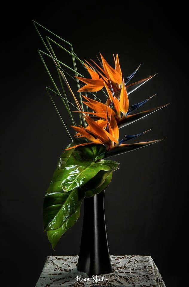 Fire - A striking display of sculptural tropical flowers makes an unforgettable centerpiece for events and receptions. This event arrangement features bold orange bird of paradise blooms arranged in a sharp diagonal line-perfect for modern wedding décor, corporate galas, or any formal celebration where dramatic impact matters. The color palette of orange, green, black, and hints of blue plays against a minimalist backdrop to create a contemporary, editorial look that will make the person you're honoring feel truly seen.  Glossy oversized tropical leaves curve beneath the angular blooms while fine, geometric blades of greenery extend upward and outward, reinforcing the piece's architectural silhouette. The flowers are presented in a tall black vase that adds height and presence on tables or entry pedestals; a delicate lace table covering can be used beneath the vase for a touch of contrast between sleek modern lines and soft texture. Designed for visibility from across a room, this arrangement brings clean lines, vibrant color, and tropical texture to formal events with an easy-care display-simply place in a visible spot and enjoy the long-lasting visual effect.