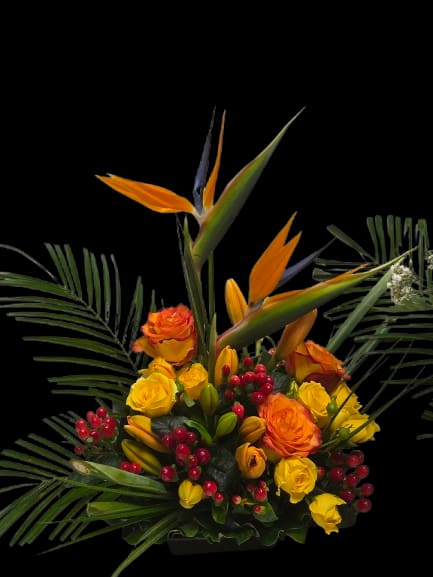 Tropical Energy - Tall bird of paradise blooms thrust upward amid clustered yellow and orange roses to create an energetic tropical flower arrangement perfect for congratulations, celebrations, or a bold everyday gift. The striking vertical lines and saturated warm colors-bright orange, sunny yellow, and pops of red-give the recipient a feeling of vibrant excitement and sunlit joy the moment it arrives.  Broad palm fronds fan outward from a sleek black container, framing the composition and adding lush green contrast to the warm palette. Red berry accents lend festive texture while tropical blooms and roses are grouped for strong form and visual impact; the result reads like a statement centerpiece that fills a room without fuss. This arrangement arrives ready to display in its container-ideal for someone who should feel celebrated, noticed, and energized.