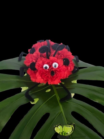 Ladybug - Bright red carnations shaped into a cheerful ladybug make this playful flower arrangement a perfect novelty gift for birthdays, baby showers, or a lighthearted spring surprise. The whimsical design reads immediately as fun and affectionate-the red carnation "shell" dotted with black accents and topped with oversized googly eyes creates an expressive, cartoon-like face that will make the recipient smile.  Crafted on a large tropical decorative leaf, the arrangement uses black accents to form the ladybug's spots, legs, and pipe-cleaner antennae, with a small butterfly decoration adding a sweet garden touch. Colors are bold and lively-red, black, green, and a hint of yellow-so it brightens any tabletop or windowsill without needing a vase. This is the kind of gift that makes someone feel seen and delighted; order it for a child's celebration, a colleague who loves quirky decor, or anyone who could use a cheerful pick-me-up. Standard care: keep in a cool spot out of direct sun and refresh water as needed to keep carnations looking their best.