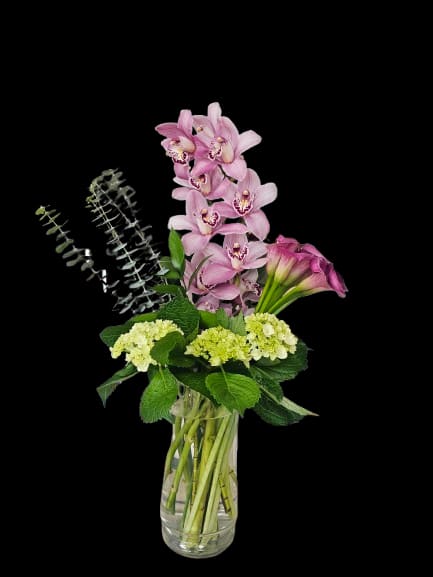 Majesty - Tall pink cymbidium orchids rise gracefully in this elegant floral arrangement, creating a modern statement perfect for birthdays, anniversaries, housewarmings, or refined everyday gifting. The sculptural orchid stems paired with a striking pink calla lily give the design a sense of quiet luxury and contemporary beauty, making the recipient feel truly seen and celebrated the moment it arrives.  Delicate mini green hydrangea blooms and soft white accents balance the composition, while the clear glass vase and visible long stems create a clean, architectural look with a subtle tropical influence. The palette of vibrant pink, fresh green, and crisp white feels polished, fresh, and effortlessly sophisticated without appearing overly formal.  Designed to sit beautifully on dining tables, entry consoles, or modern interiors, Majesty offers graceful height and artistic movement while maintaining an airy, uncluttered silhouette. Elegant yet approachable, it is ideal for thank-you gifts, congratulations, celebrations, or simply bringing a refined botanical touch into the home. To prolong bloom life, refresh water regularly and trim stems slightly every few days.