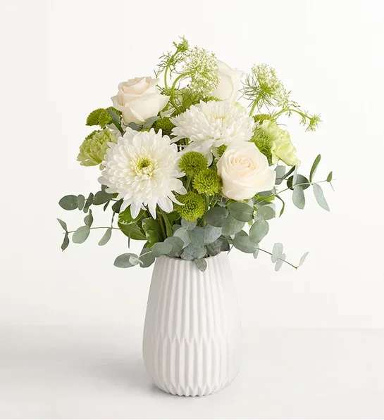 Serene Green™ - Soft white roses and full chrysanthemum blooms mingle with pale green button mums and delicate airy filler in a serene green and white arrangement-perfect as a sympathy arrangement, a get well bouquet, or a peaceful everyday centerpiece. The soft palette and gentle textures give the recipient a calm, uplifted feeling; it's the kind of floral gift that quietly says you care and brings a restful presence to any room.  