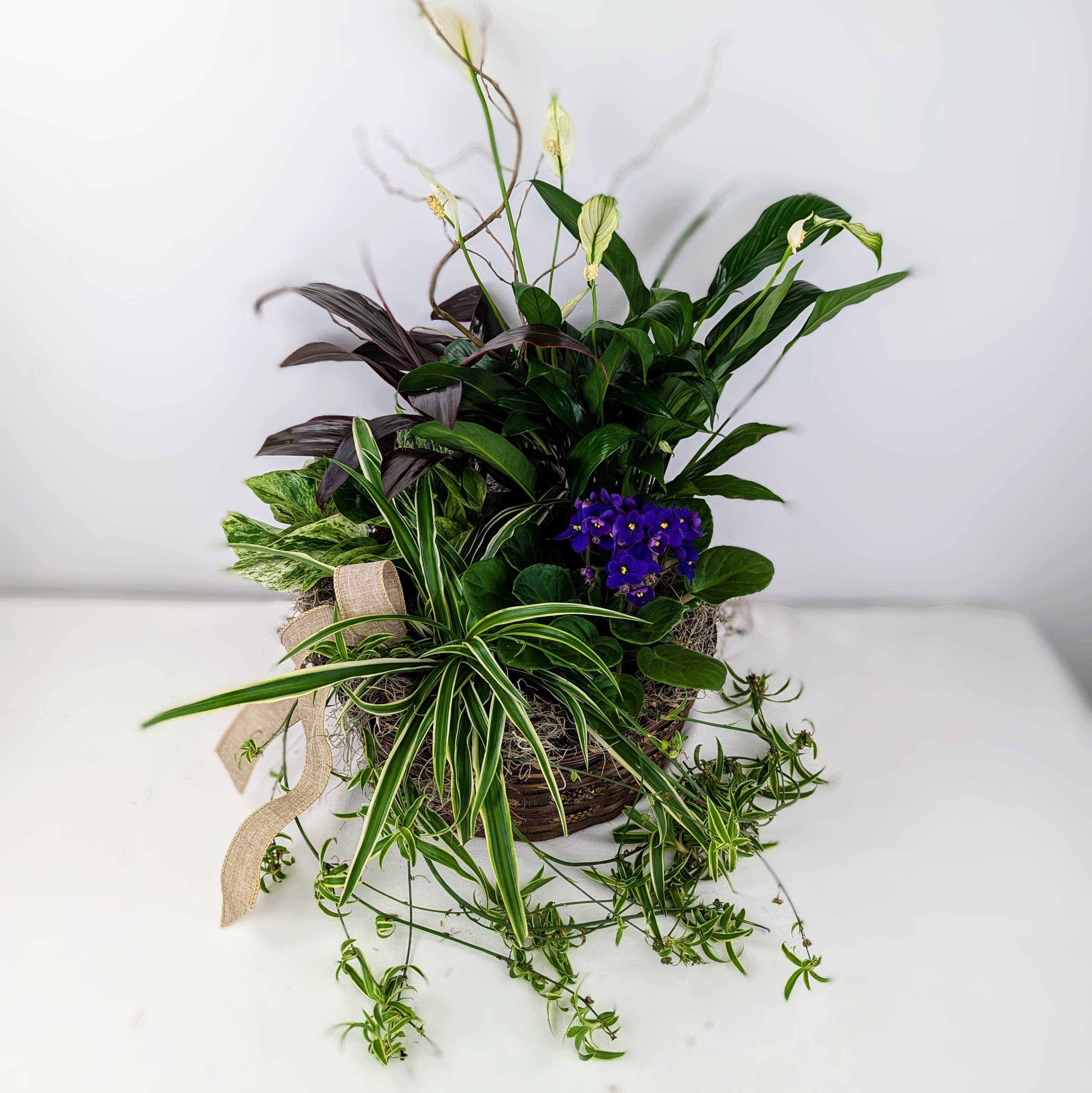 Mixed potted plant arrangement with purple blooms in a basket
