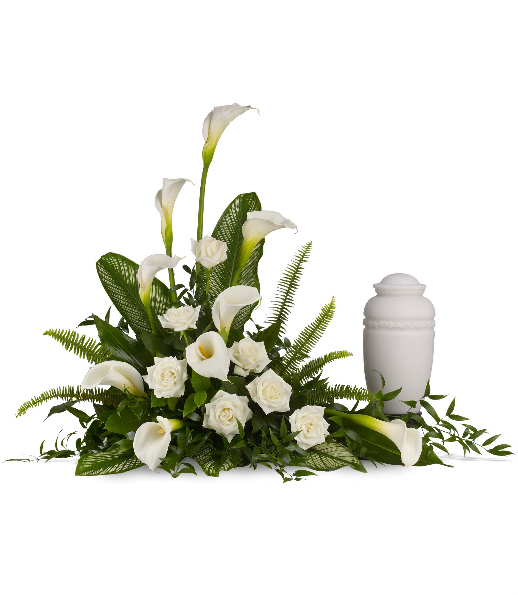 Stately Lilies - A calming portrait in ivory. Majestic calla lilies and stately white roses are framed by the lush leaves of aspidistra and calathea. Soft green sword fern adds to the soothing tones.  