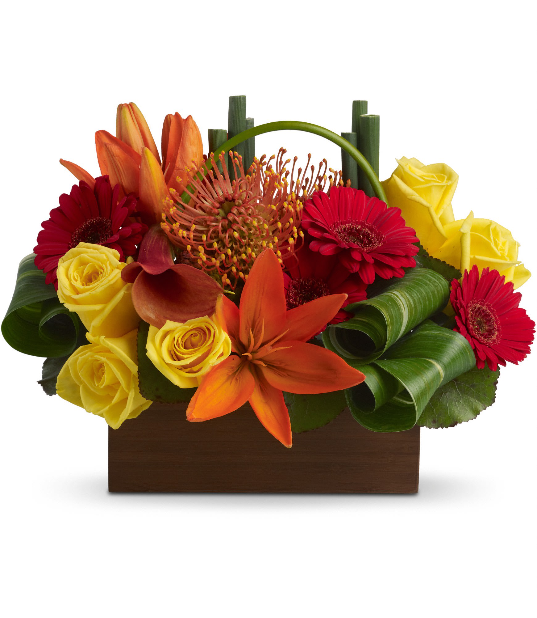 Teleflora's Bamboo Getaway  - Get away from bouquets as usual and choose this tropical adventure strikingly served up in a beautiful bamboo box. Exotic. Exciting. Extremely beautiful!    Yellow roses, dark orange miniature callas, orange asiatic lilies and pin cushion protea, red miniature gerberas and more are delivered in a unique rectangular bamboo container. It's definitely a departure from the ordinary!    Approximately 13 1/4" W x 10" H    Orientation: One-Sided        As Shown : T85-3A      Deluxe : T85-3B      Premium : T85-3C    