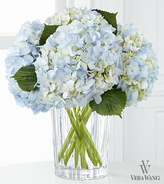 The FTD® Joyful Inspirations™ Bouquet by Vera Wang - TD® proudly presents the Vera Wang Joyful Inspirations™ Bouquet. The uplifting color of the skies are set to brighten their day with fresh radiance with this bouquet of light blue hydrangea simply set in a modern clear glass vase to create an expression of your warmest sentiments. Bouquet is approximately 13"H x 12"W as shown.