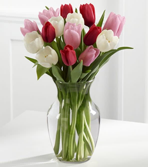 Here in My Heart Tulip Bouquet  - VASE INCLUDED - The Here in My Heart Tulip Bouquet is a jubilant expression of the romance! Our finest tulips in shades of pink, red and white, creating a dazzling bouquet that showers them with your affection. Presented in a classic clear glass vase, this mixed color tulip bouquet will make an excellent birthday, anniversary, or thinking of you gift. GOOD Approximately 16"H x 12"W. BETTER Approximately 17"H x 13"W. BEST Approximately 18"H x 14"W. Your purchase includes a complimentary personalized gift message.