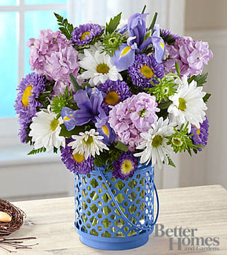 The FTD® Cottage Garden™ Bouquet by Better Homes and Gardens® - HG5S  Taking its inspiration from a sky so blue you can almost feel the fresh breezes it brings with it, this bouquet is designed in collaboration with the trendsetting stylists of Better Homes and Gardens®. A bright and beautiful combination of blue, purple and white includes lavender stock, Matsumoto asters, iris and daisy poms. The lantern style vase features a clear glass cylinder in an exotic-inspired metal holder painted periwinkle blue to complement the colors of the flowers. Once the flowers are gone, the vase makes an enchanting candleholder for use indoors and outside.  GOOD bouquet is approximately 13"H x 11"W.