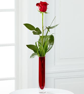The FTD® Deeply Devoted™ Bouquet - B20-4403 The Deeply Devoted™ Bouquet by FTD® bursts with elegant simplicity and divine beauty. A single red rose flaunts its vibrant crimson petals offset by lily grass blades and aspidistra leaf arranged in a square red glass vase, capturing your most romantic sentiments and offering a message of endless love.