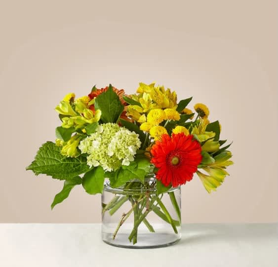 Autumn Glow Bouquet - As the days get shorter, brighten your home with the Autumn Glow bouquet filled with fresh, green hydrangea and vibrant orange Gerbera daisies. Remind a friend that the sun is still out, and there's fun left to be had in the fall.  The Original Bouquet is about 13"H x 14"W.