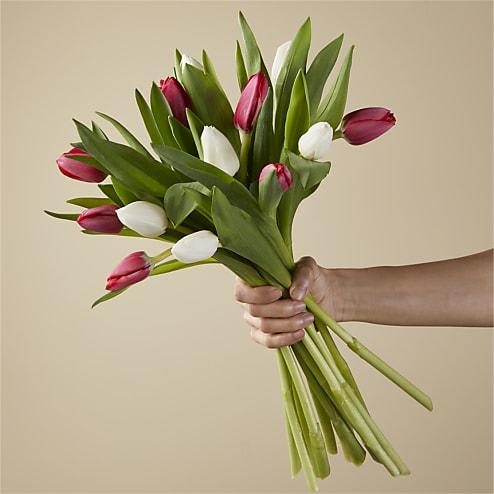 Candy Cane Tulips - Sweeten the surprise by sending our Candy Cane Tulips. This delightful arrangement of red and white tulips delivers the Christmas spirit with this crowd-pleasing floral, sure to bring fresh fun to the season.
