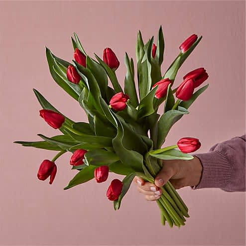 Kiss Me Bouquet - This Kiss Me will make ‘your somebody’ pucker up. Tulips are a flower loved by many and sent by not enough. Cherish your Valentine’s with this classic bloom that’s known for deep, unconditional love and given by lovers on one of the most special days of the year.