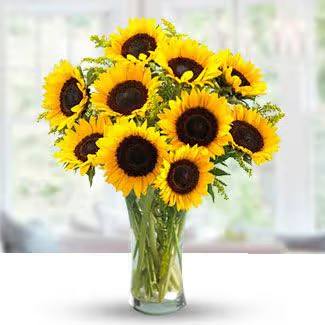 Bouquet of sunflowers in a clear glass vase