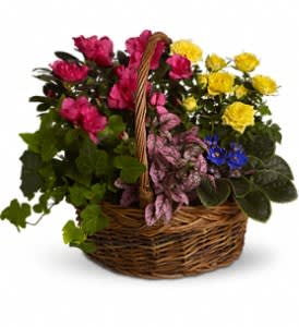 Basket of pink and yellow flowers with purple accents