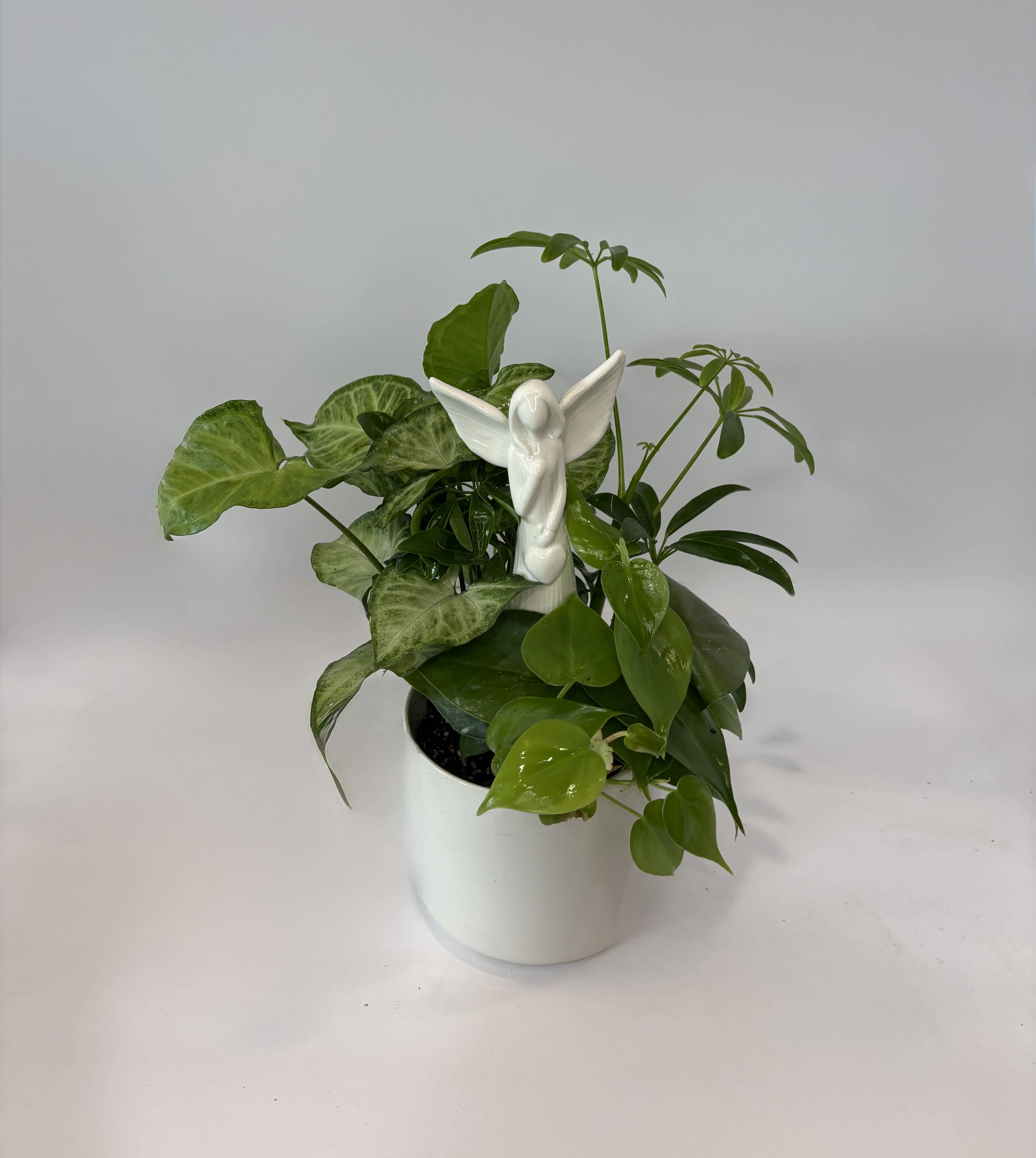 Potted green houseplant with a white angel figurine in a white container