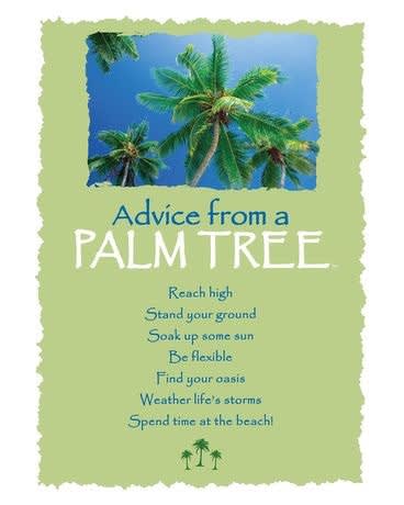 Decorative sign with palm trees against blue sky and inspirational advice text.