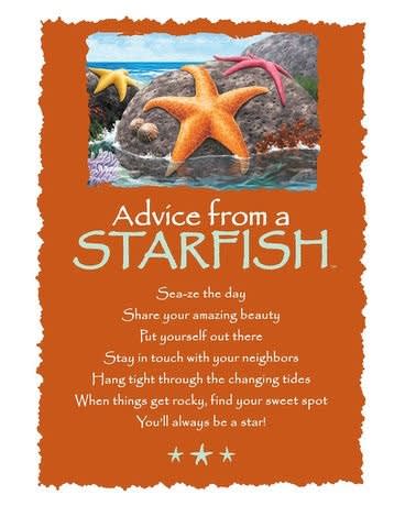 Orange plaque with starfish and ocean scene and inspirational advice text