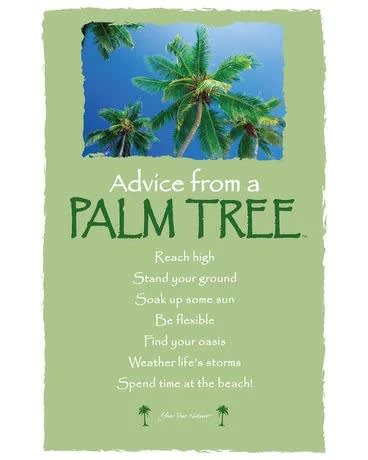 A palm tree themed greeting card with a beach scene and text.