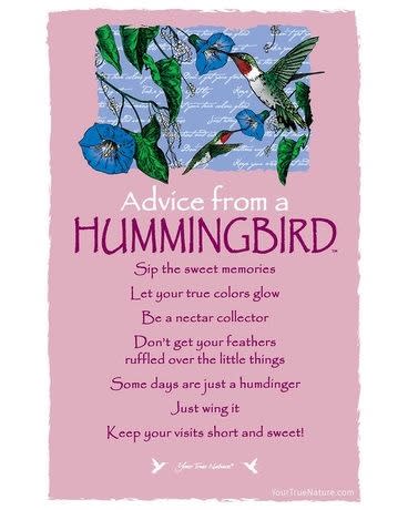 Pink wall art print with illustrated hummingbirds and blue flowers and the text Advice from a Hummingbird.