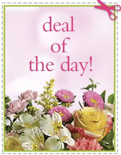 Pink greeting card with flowers and "deal of the day!" text