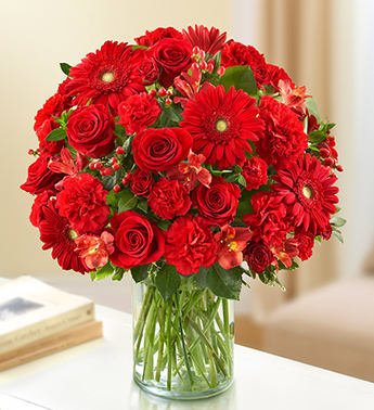 ROMANCE - All Red - Product ID: 95398   the elegant beauty of our abundant all-red arrangement, a traditional symbol of courage and strength. Lovely roses, Gerbera daisies, alstroemeria and carnations are hand-designed by our florists in a classic vase for a sincere offering of your sympathy. Lush bouquet of the freshest red roses, spray roses, Gerbera daisies, alstroemeria, carnations, mini carnations and hypericum, accented with variegated pittosporum,
