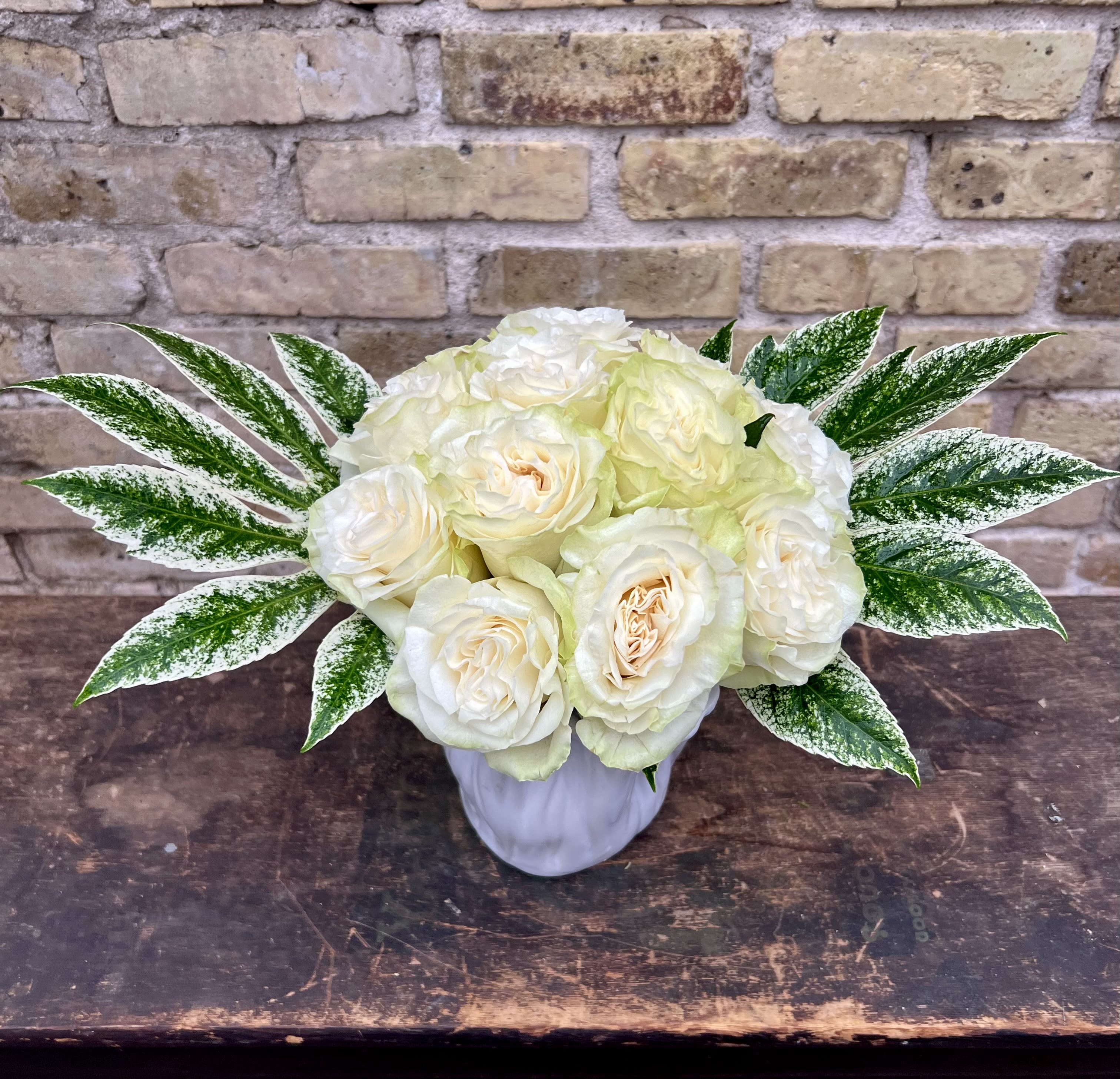 MoonStone - One Dozen White MoonStone Roses Designed in a White Ceramic Vase  With Variegated Aralia Foliage. Approximately 12"-15" Tall and Wide. (Container may vary depending on availability)