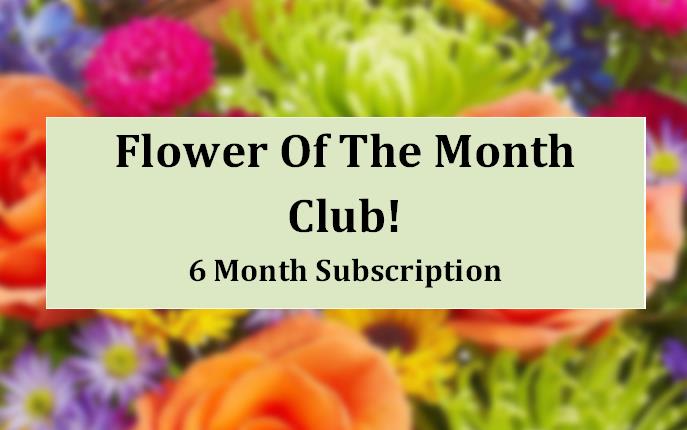 Flower of the Month Club 6 Month Subscription text over a blurred floral background