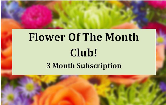 Flower of the Month Club 3 Month Subscription text over a blurred floral background