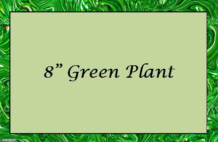 Text reading "8" Green Plant" on a green patterned background