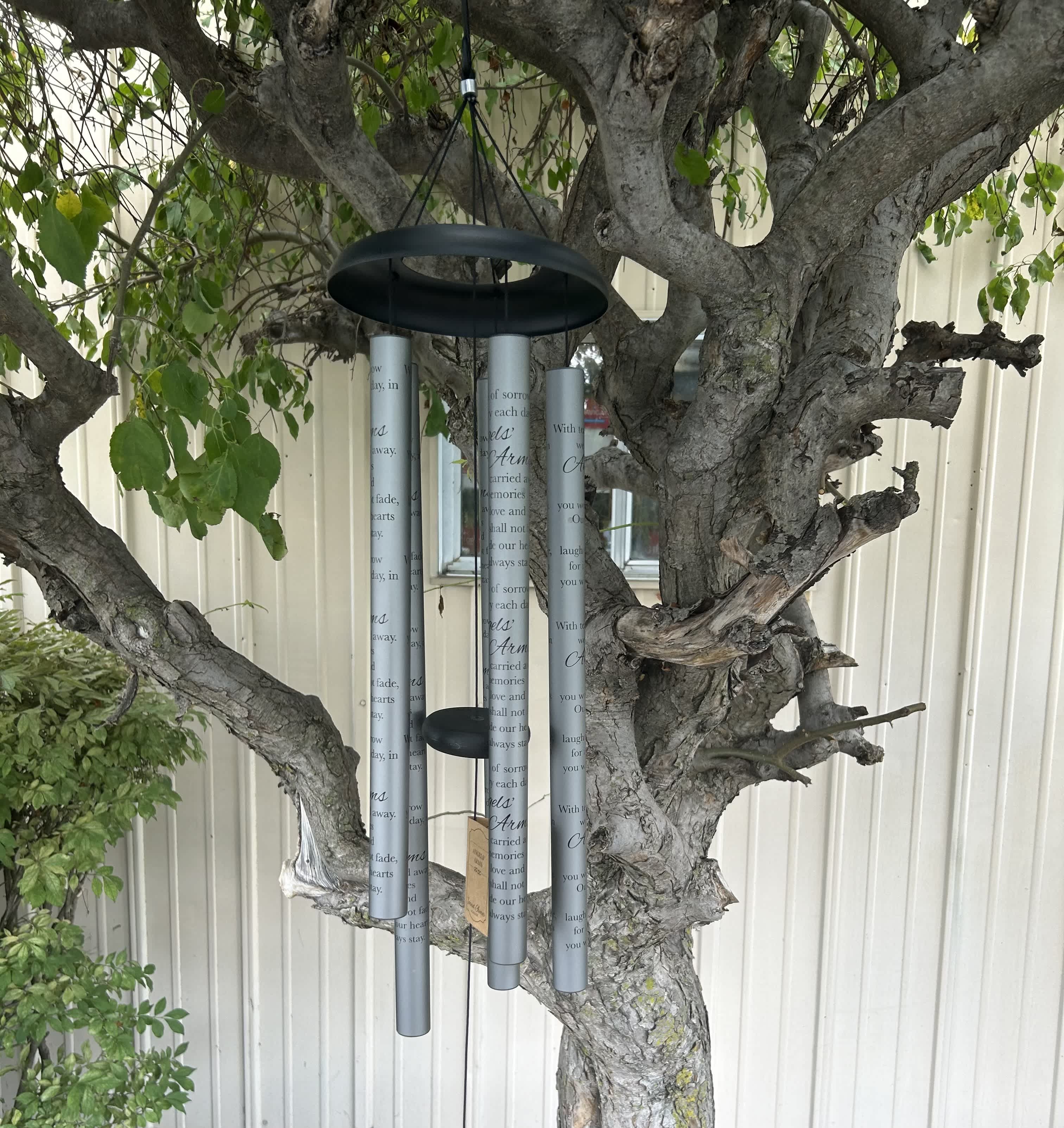 Wind chime hanging from a tree branch