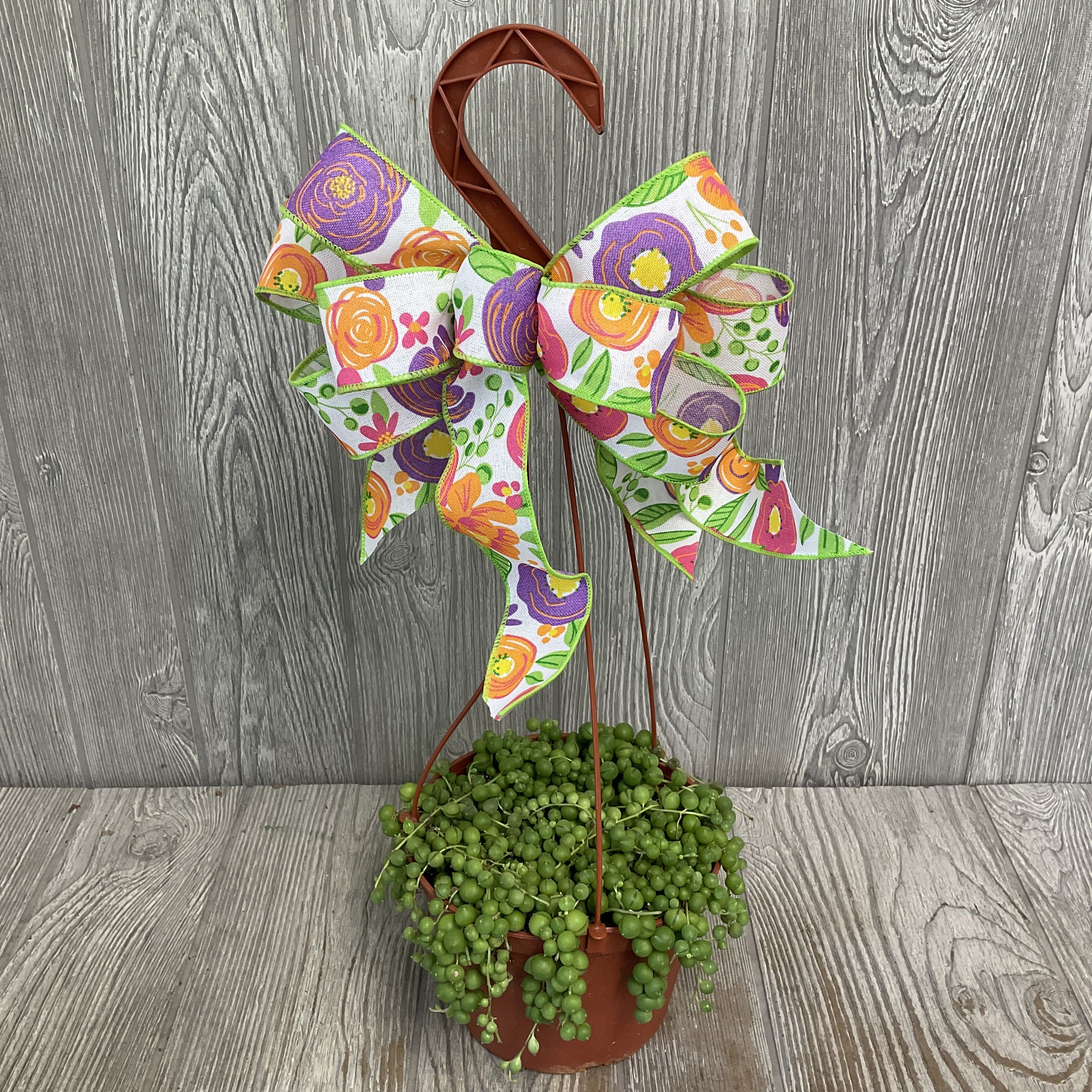 Mom’s String of Pearls - Every mom deserves a string of pearls! Send the gift of a beautiful String of Pearls potted plant this Mother’s Day! 