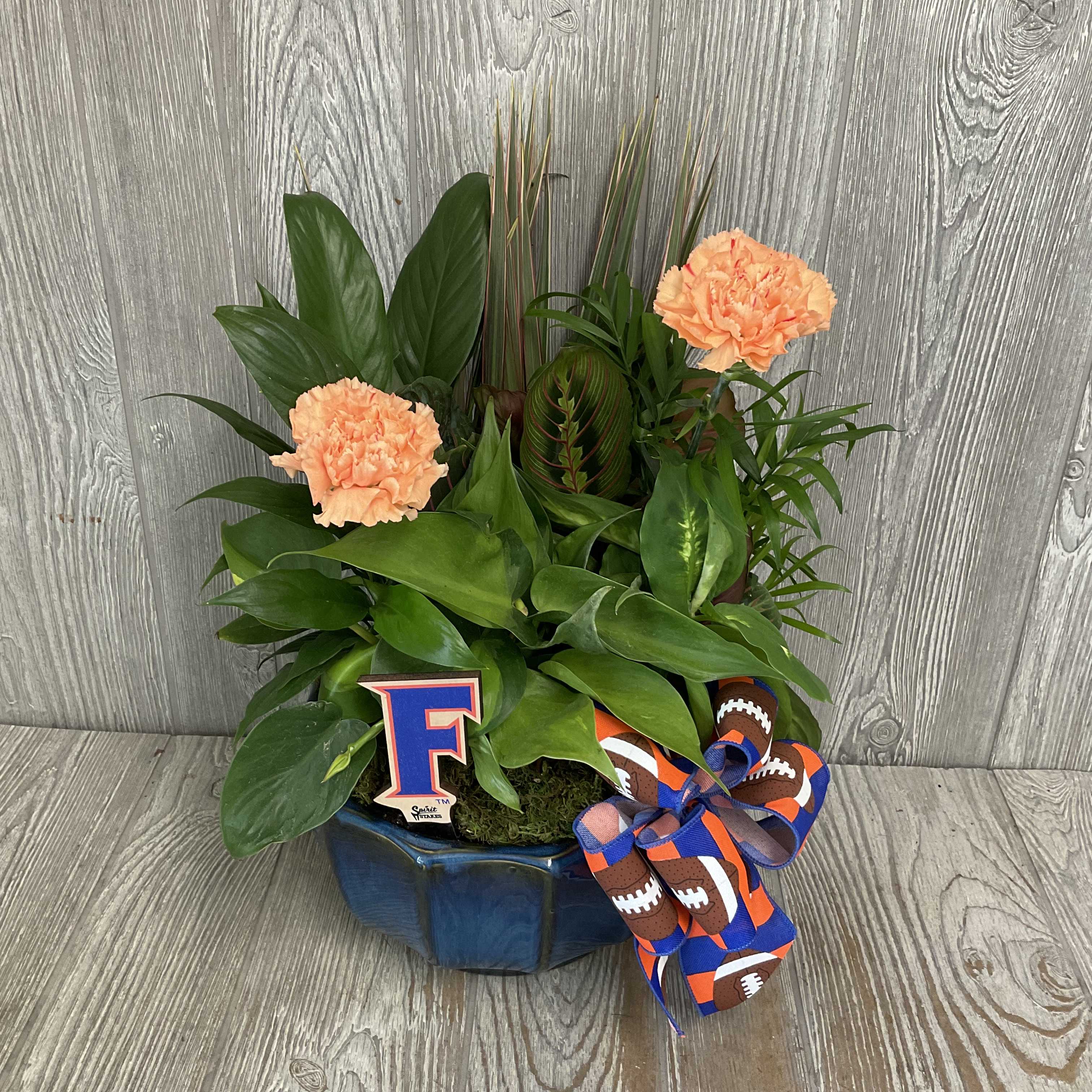 Potted green plant with peach carnations and a football ribbon in a blue container