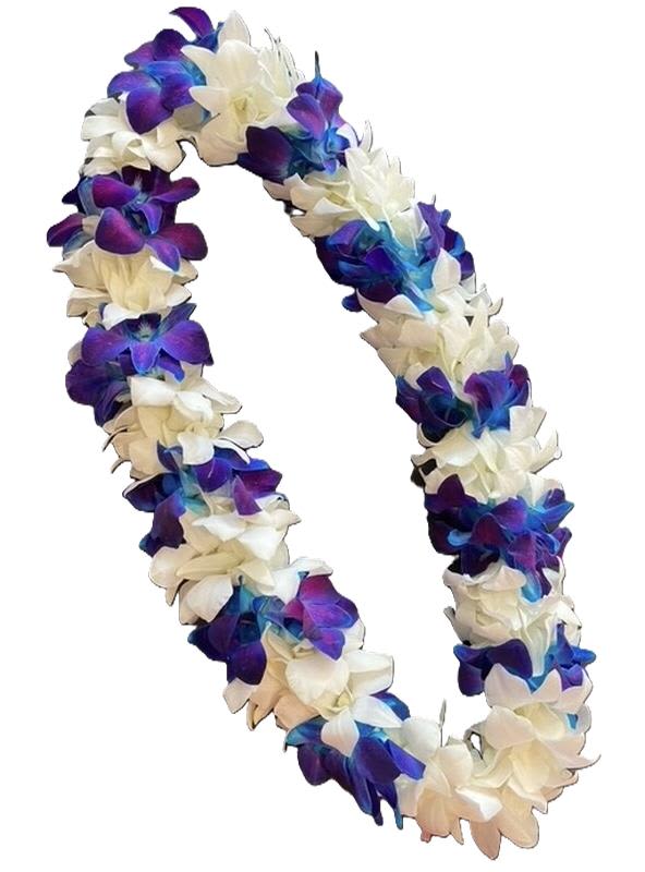 Purple and white flower lei on a white background