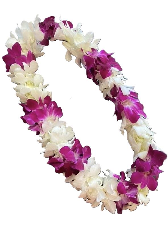 Purple and white orchid lei on a white background