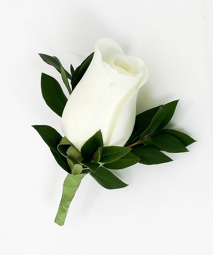 Boutonniere - White Rose - White rose boutonniere