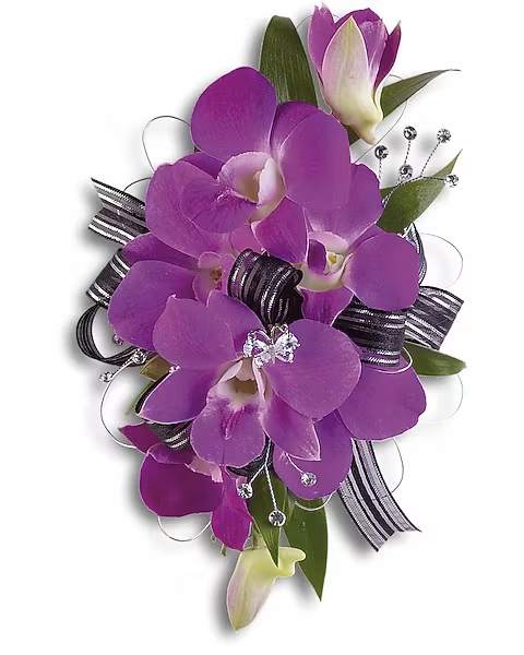 Wrist Corsage - Purple Promise - Royally elegant with dramatic purple dendrobium orchids. Purple dendrobium orchids and Italian ruscus.  