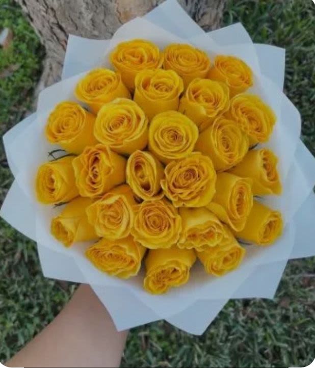 Bouquet of yellow roses wrapped in white paper