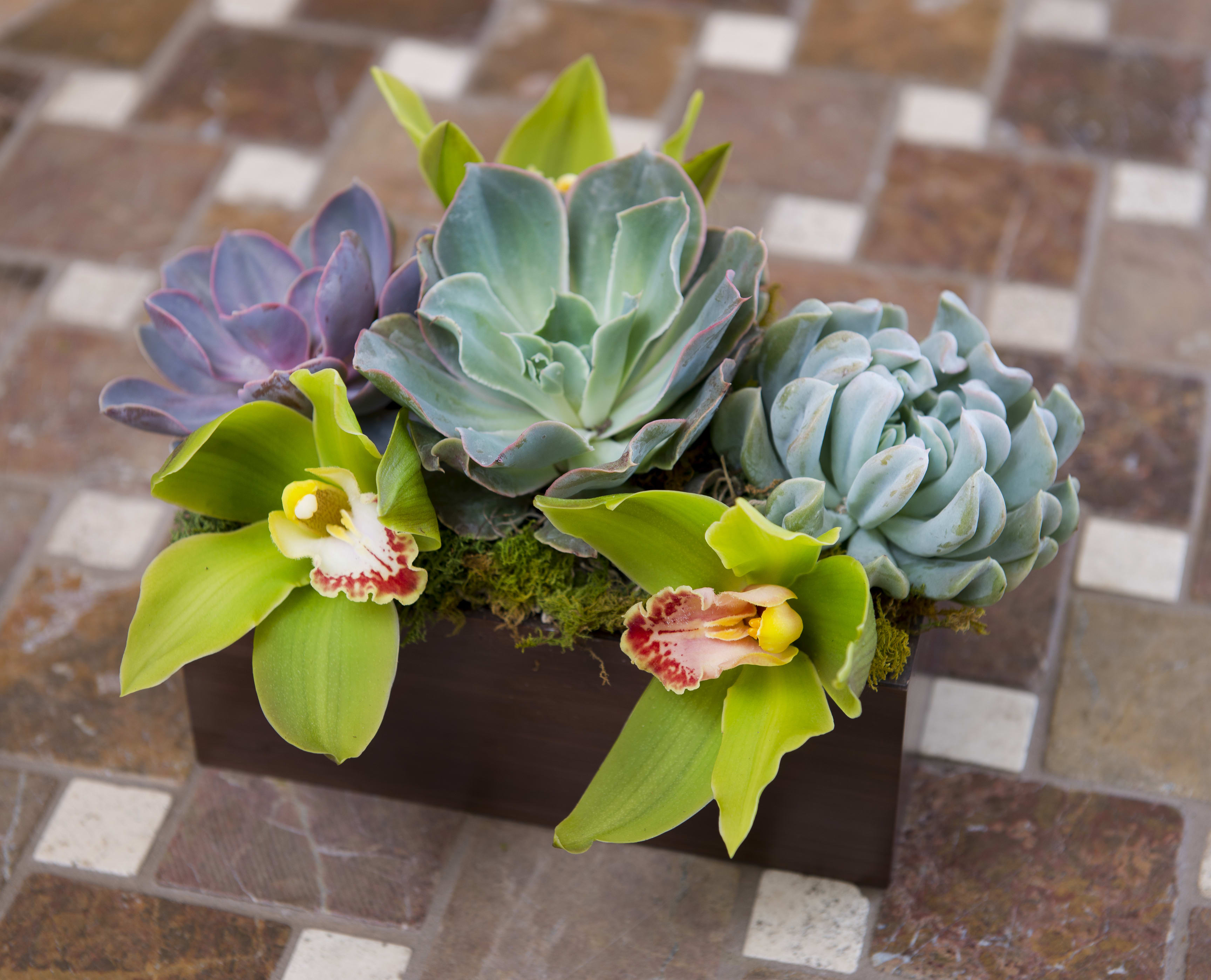 Succulent arrangement with two orchid blooms in a rectangular planter