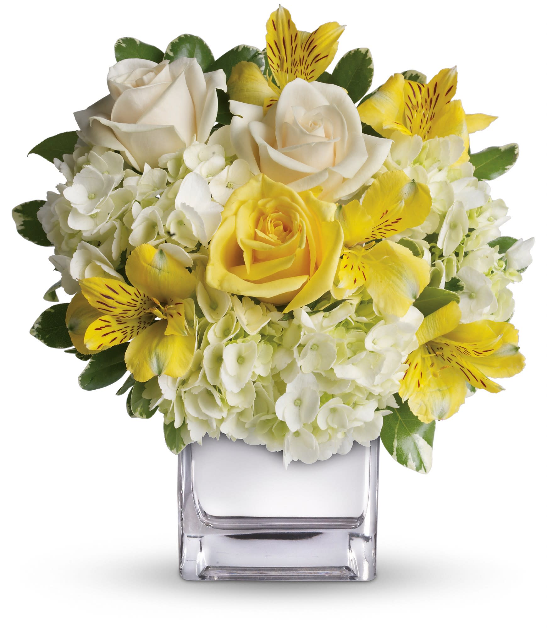 Sweetest Sunrise Bouquet (T403-3A) - This sparkling array of sunny favorites in a silver cube vase will be the star of any room. It's a sweet gift she'll love to receive - and you'll be proud to give. Sweet price, too. 