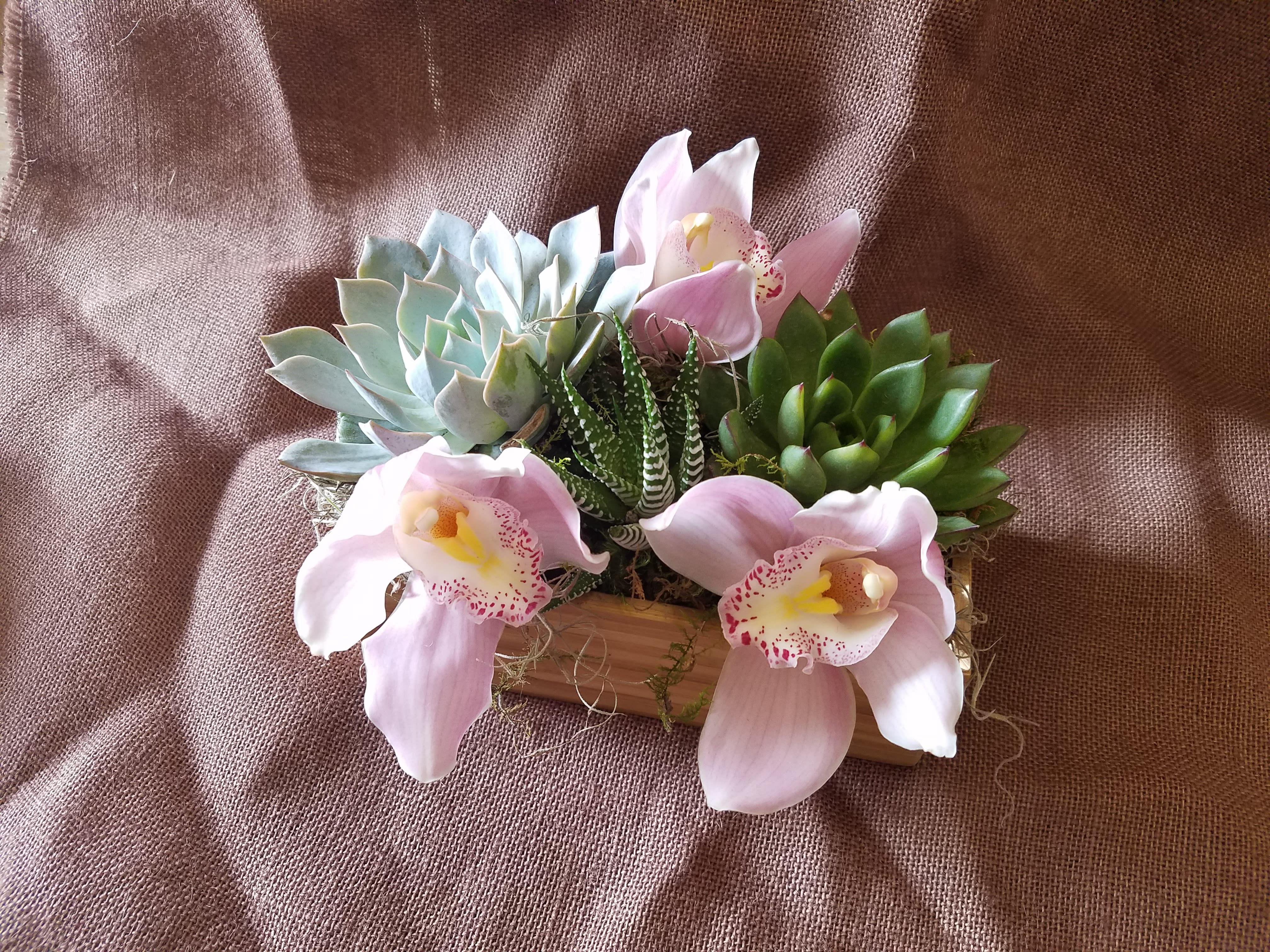 Succulent arrangement with pink orchid blooms in a wooden container