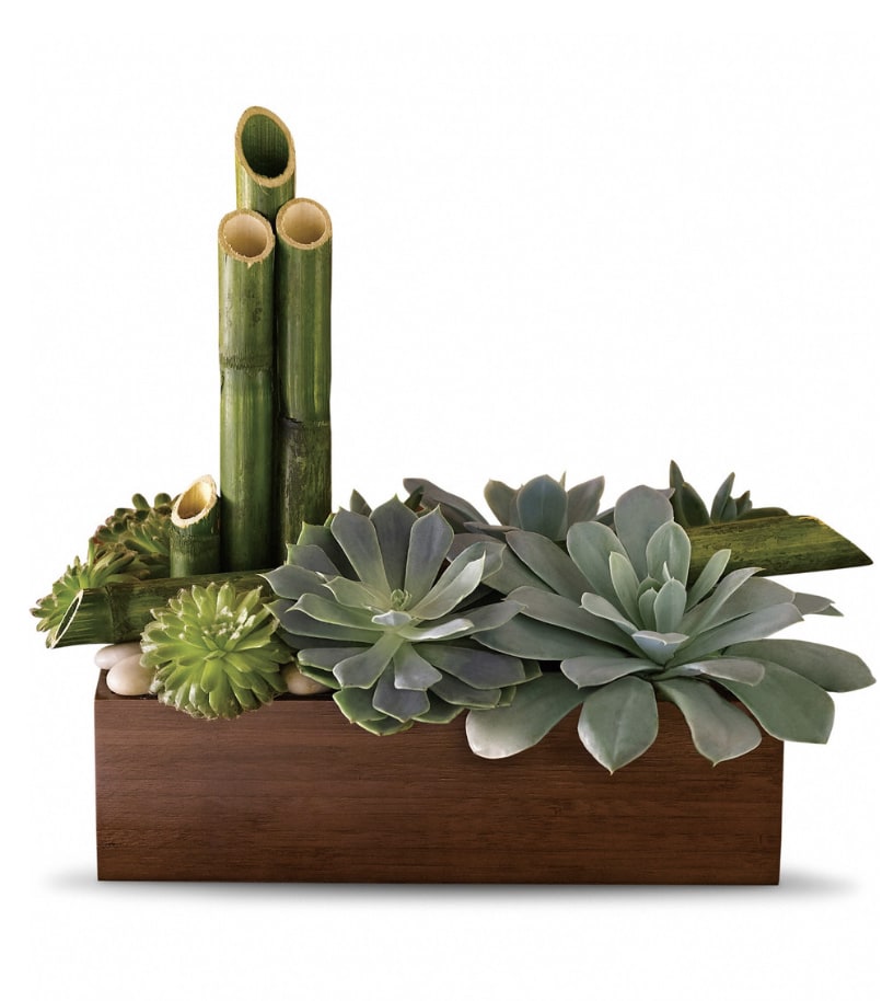 Succulent arrangement in a wooden box with bamboo stalks