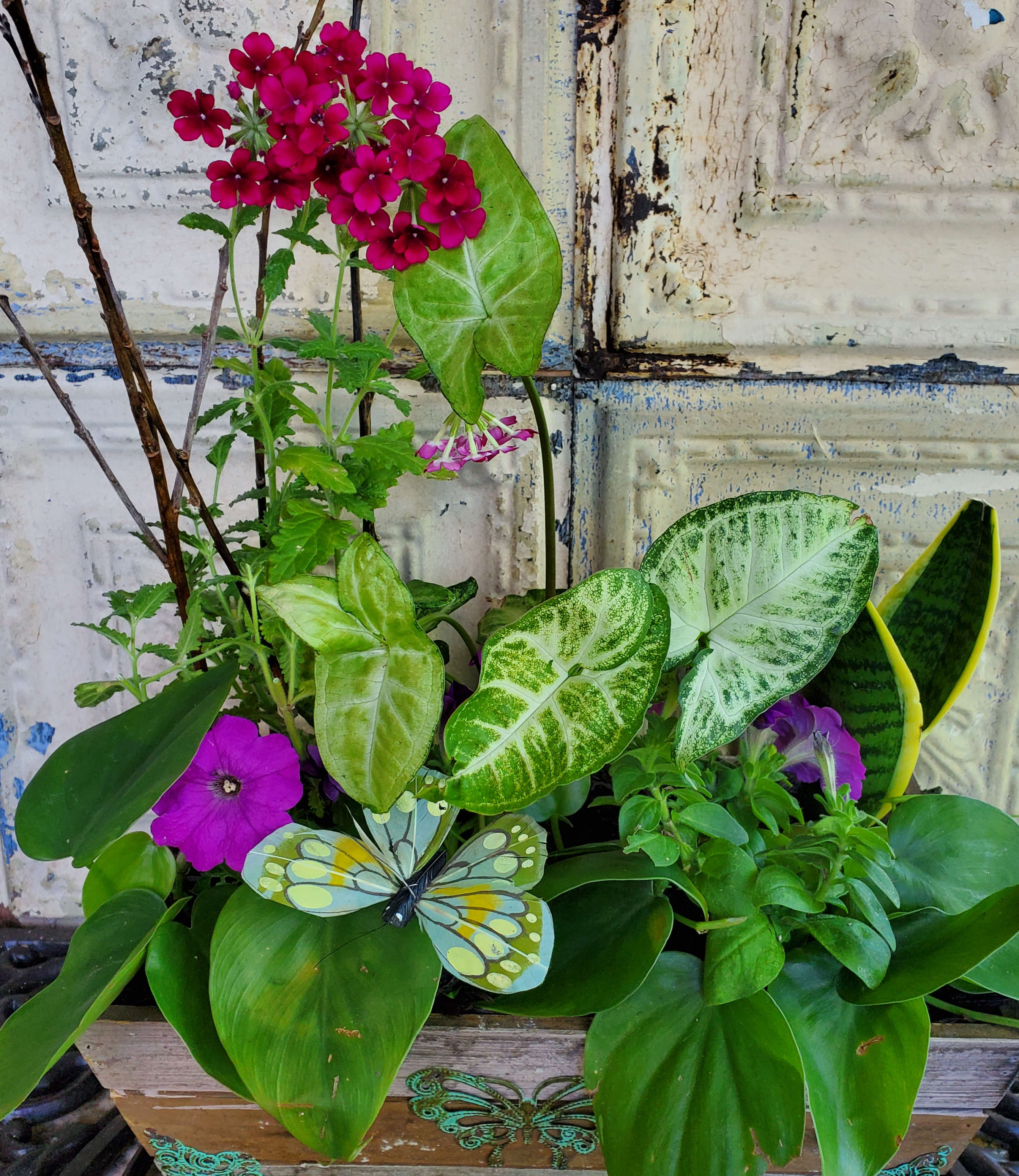 Mixed potted arrangement with bright pink flowers and large green leaves in a wooden planter
