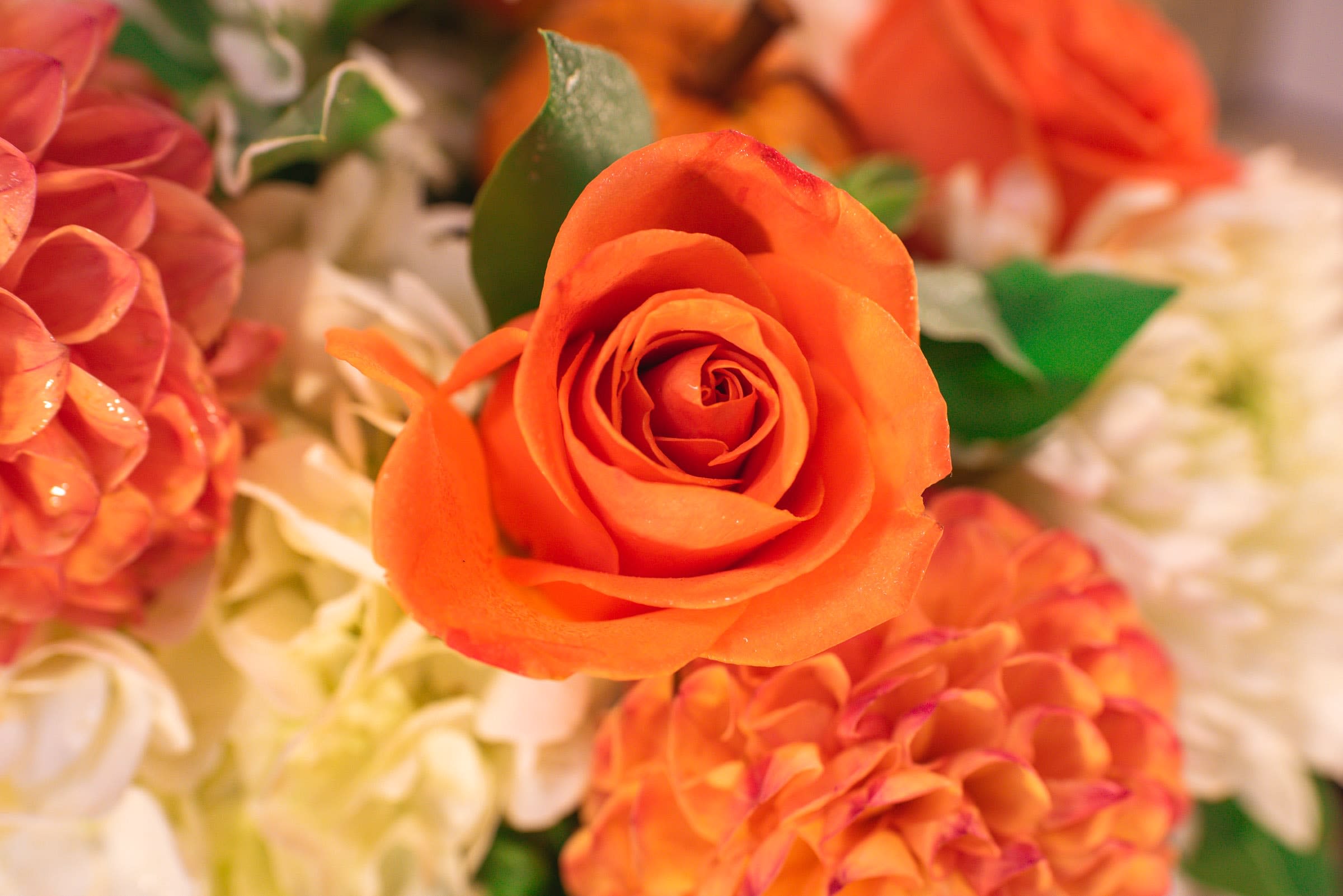 Close-up of orange roses and pink hydrangeas in a floral arrangement