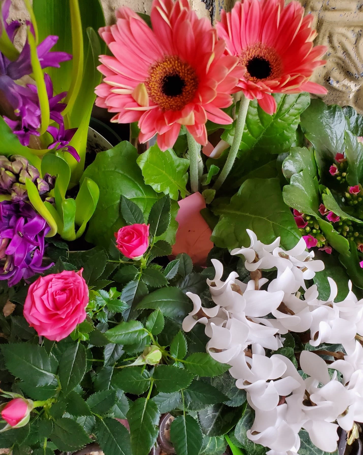 Mixed bouquet with pink gerbera daisies, roses, and purple flowers