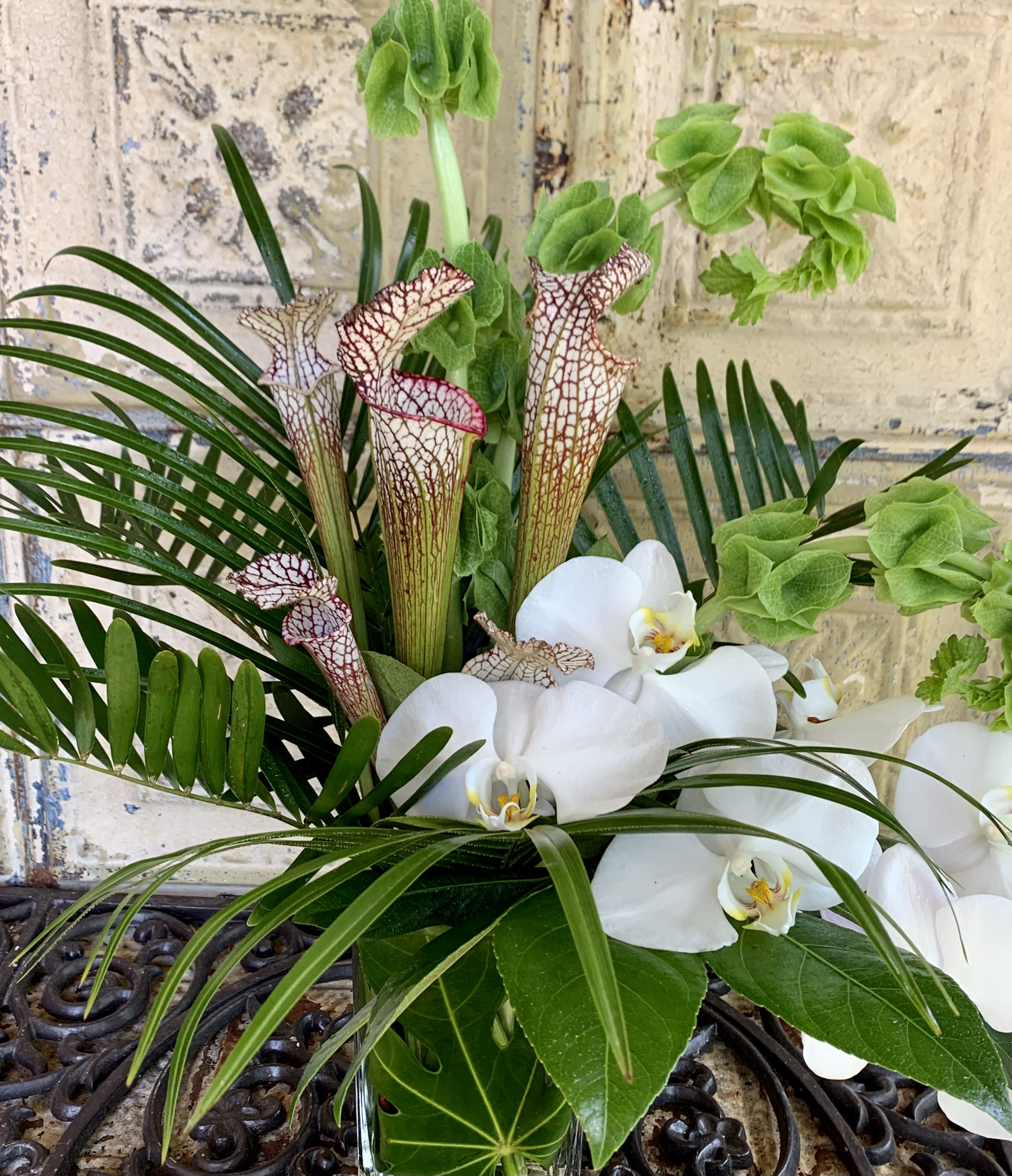 White orchids and pitcher plants arranged with tropical foliage in a glass vase