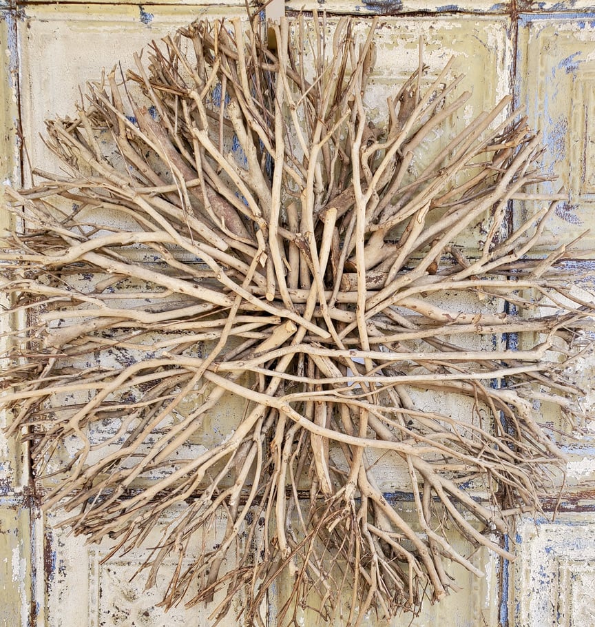 Bundle of pale dried branches arranged in a radial pattern