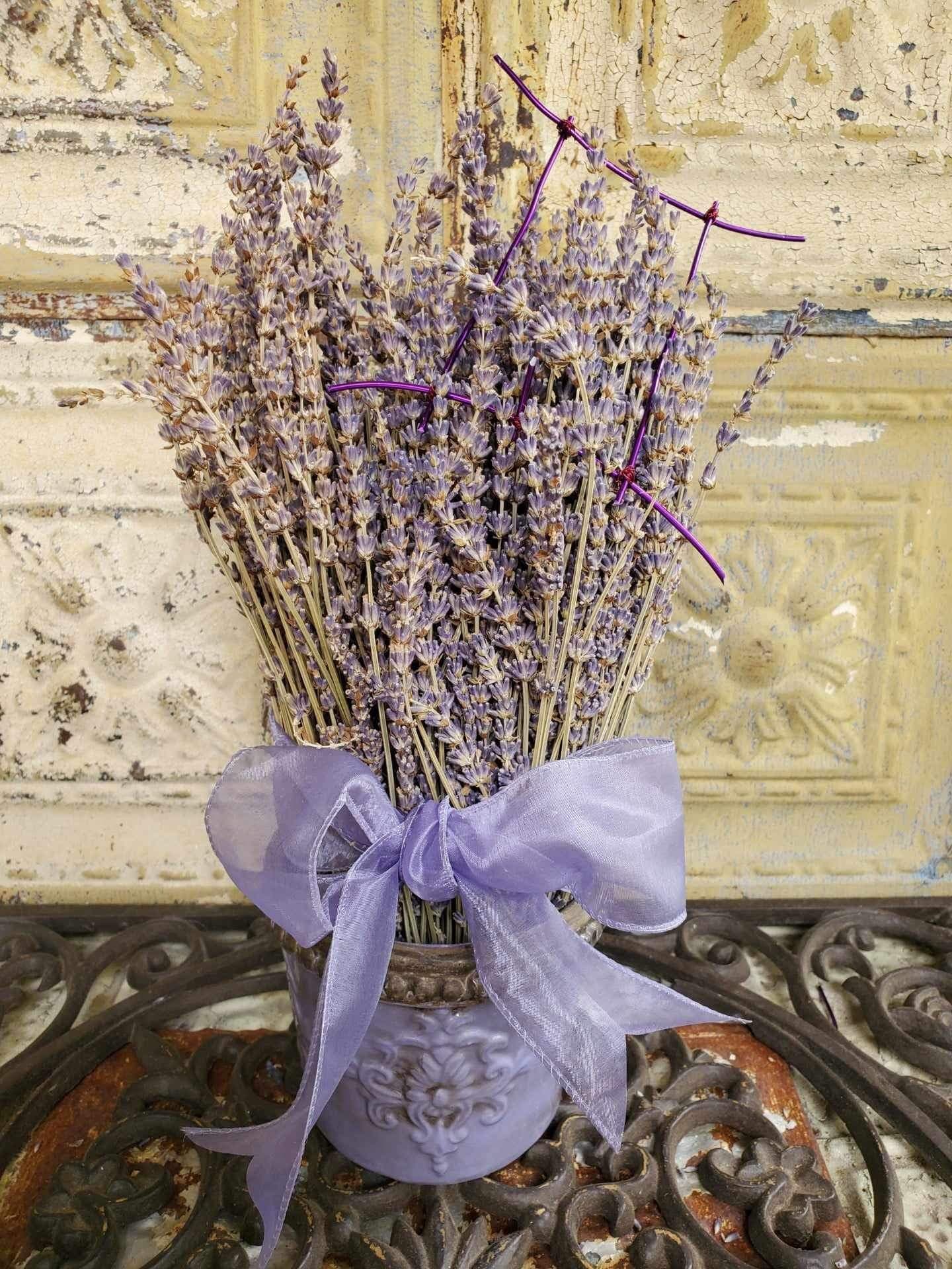 Bundle of dried lavender tied with a purple ribbon in a decorative pot