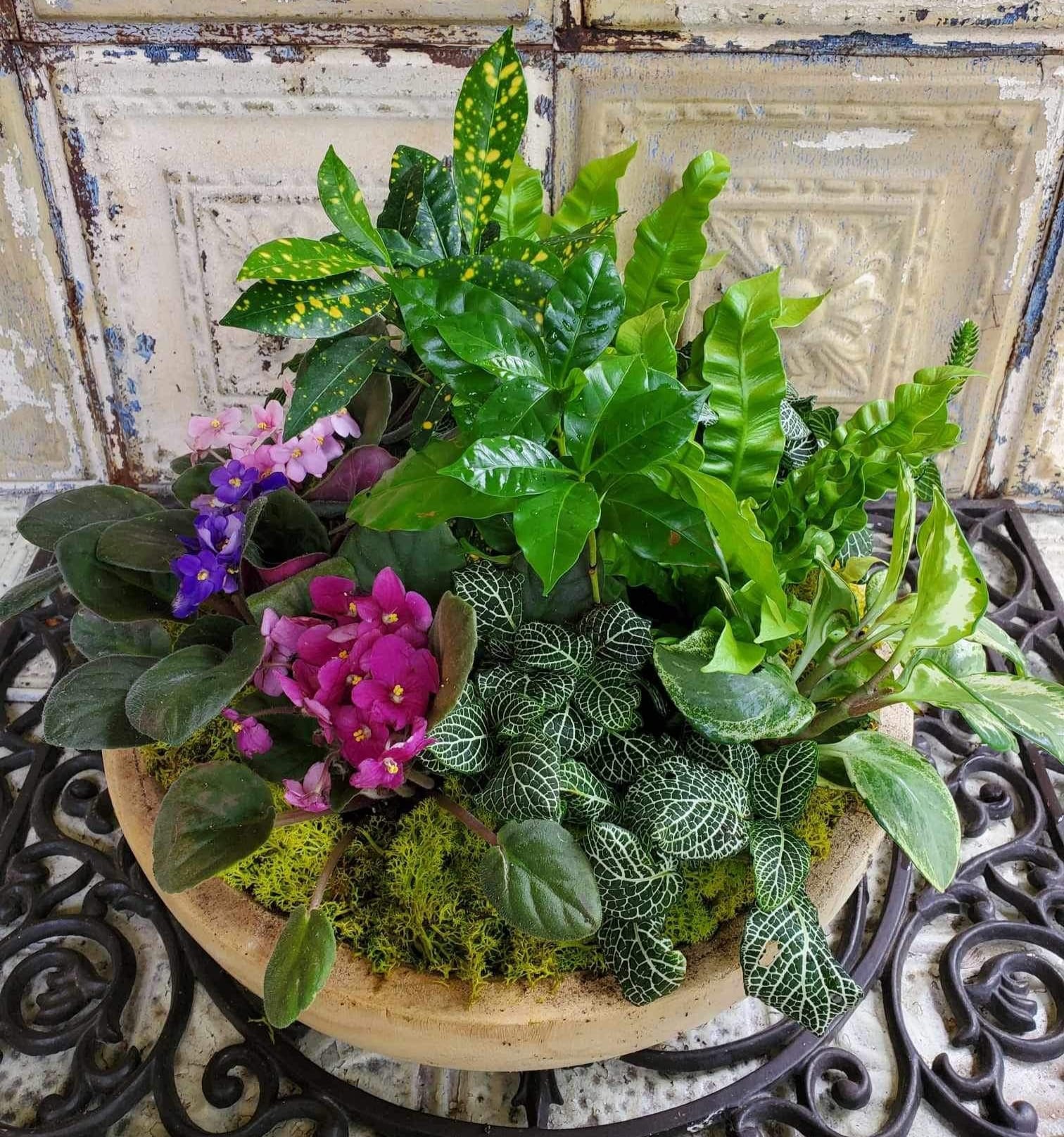 Mixed potted plants with pink and purple flowers in a shallow bowl